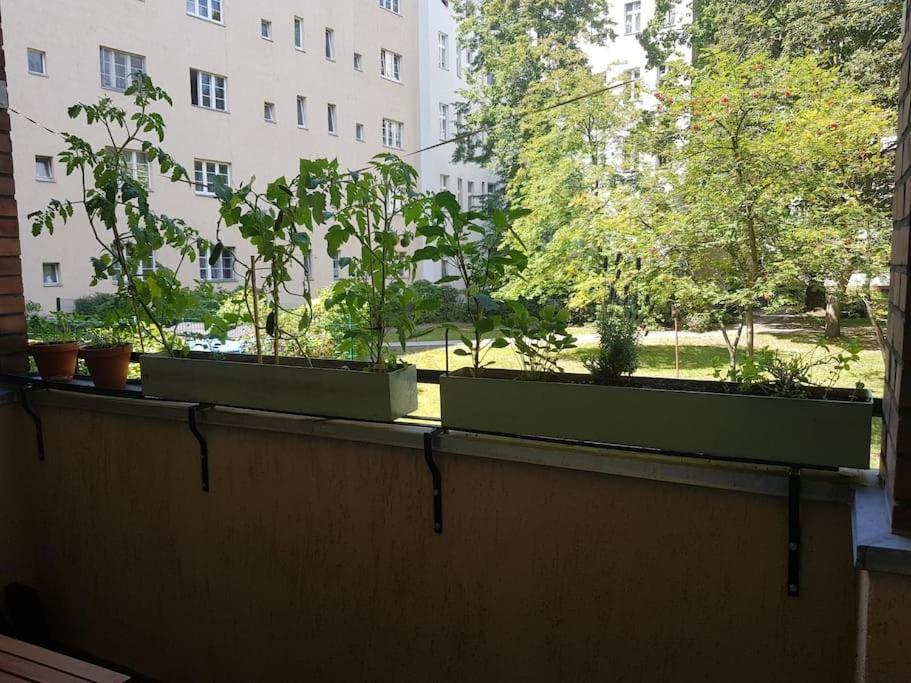 Gemuetliches Am Bach Nahe Bus Und Bahn