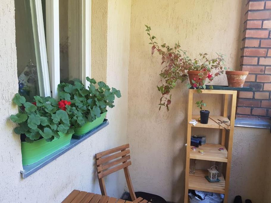 Appartement Gemuetliches Am Bach Nahe Bus Und Bahn *